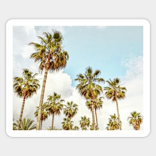 Tropical landscape palms Sticker